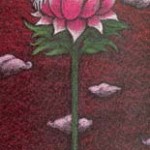 Lotus Buddha / 睡蓮ブッダ